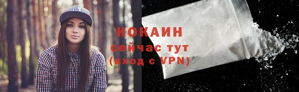 Альфа ПВП Осинники