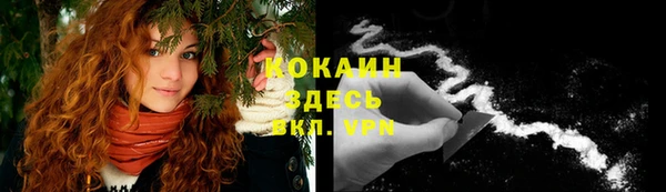 Альфа ПВП Осинники