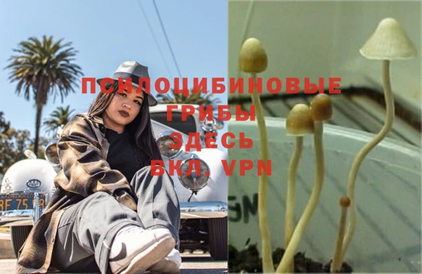 гашиш Осташков
