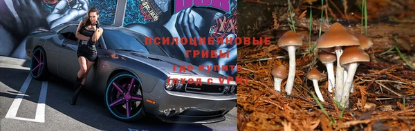 ALPHA-PVP Остров