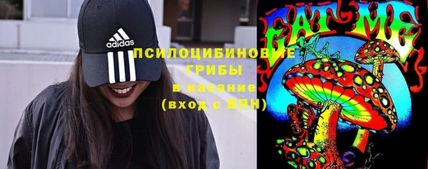 ECSTASY Фурманов