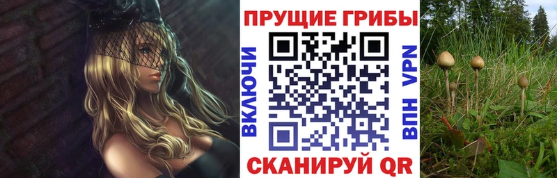 Галлюциногенные грибы GOLDEN TEACHER  наркотики  Волоколамск 