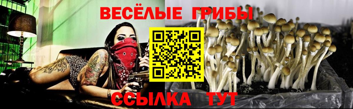 Галлюциногенные грибы MAGIC MUSHROOMS  Волоколамск 