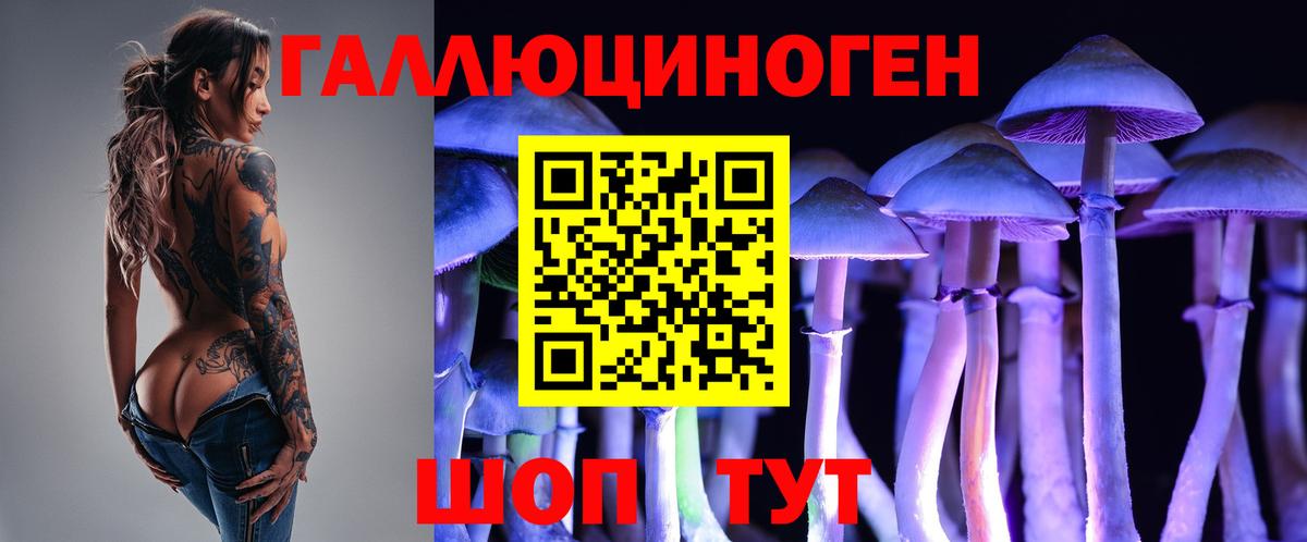 сколько стоит  Вход с VPN  Волоколамск  Галлюциногенные грибы Psilocybine cubensis  Псилоцибиновые грибы MAGIC MUSHROOMS 